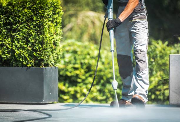 Best Dumpster Area Cleaning  in Portola, CA